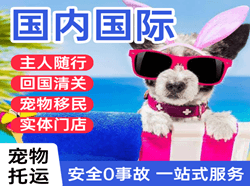 东河航空空运国际宠物托运 【国